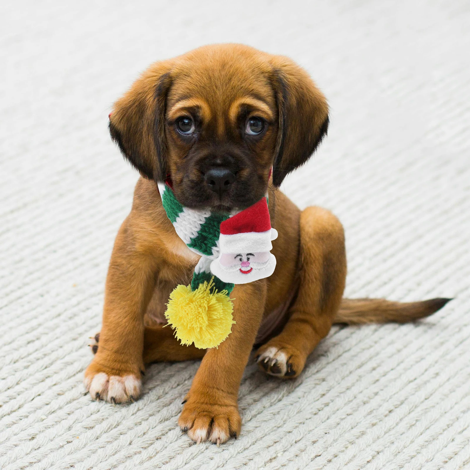 

Christmas Pet Scarf Striped Soft Comfortable Dog Cat Holiday Decorative Scarf Cat Christmas Scarf Puppy Dog Scarf