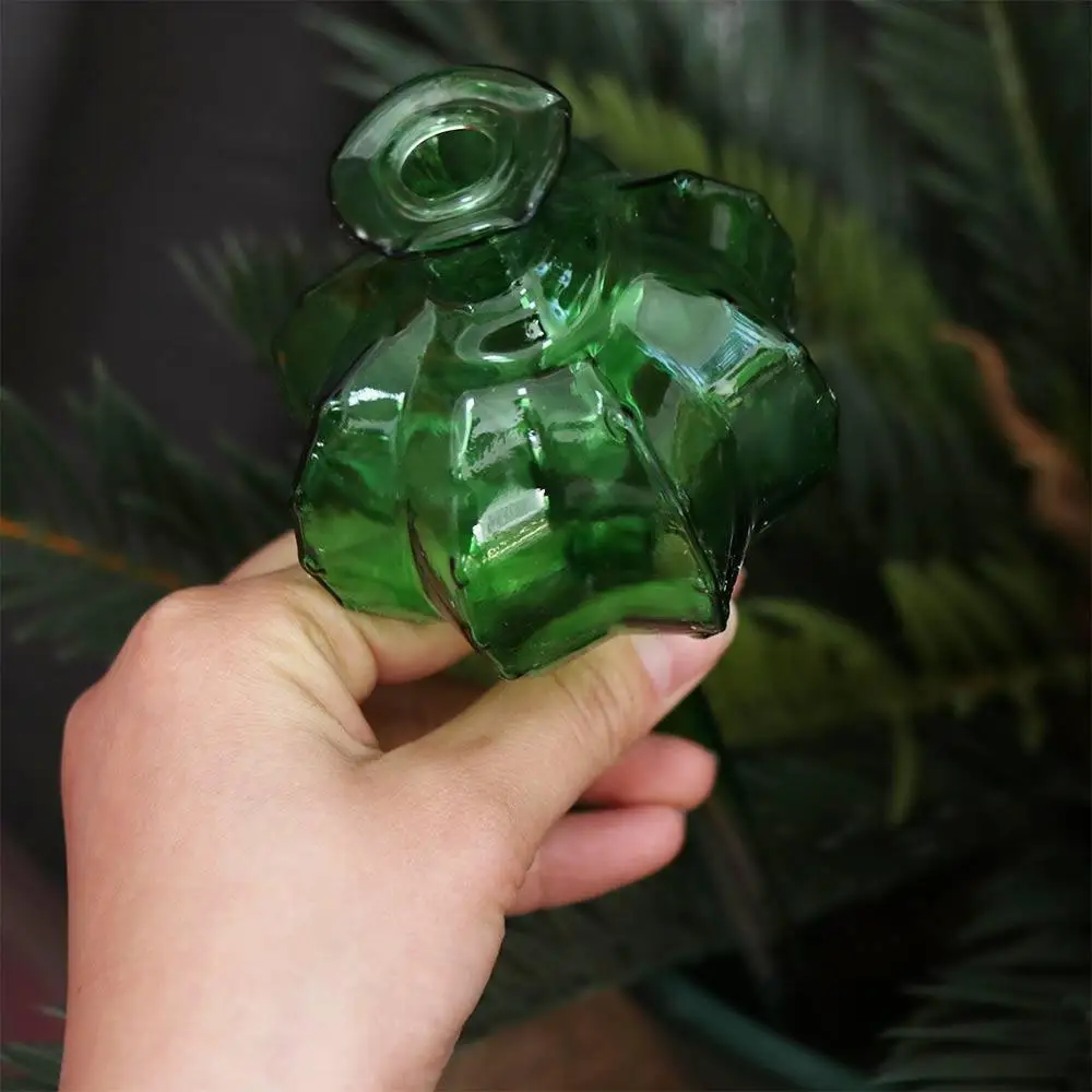 Cactus Cactus Self Watering Planter Automatic Glass Automatic Plant Watering Bulbs Cute Plant Water Feeder Glass Bulbs Indoor