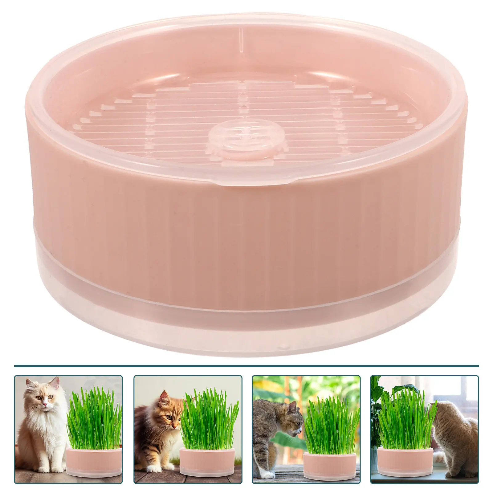 Cat Grass Planting Pots Planter For Home Flower Soilless Pink Household Hydroponic Tray