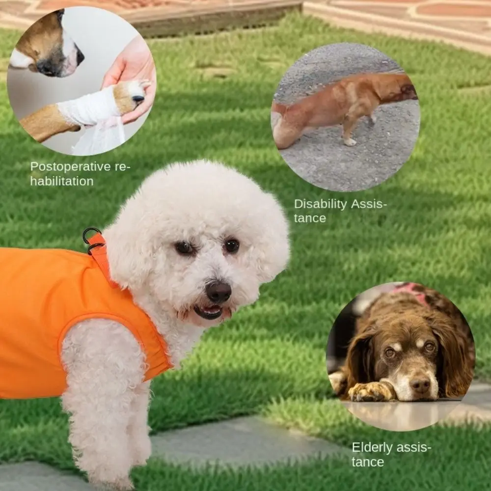 

Adjustable Pet Hind Leg Support Strap Thicken Handle Legs Support Dogs Sling Back Legs Hip Support Soft Lining Breathable