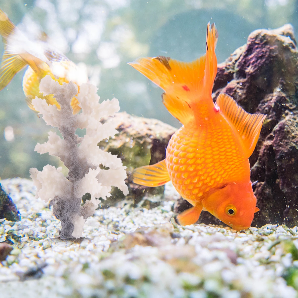 

Artificial Coral Tree Decor For Aquarium Realistic Fish Tank Ornament Lifelike Underwater Landscape Fresh Salt Water Safe