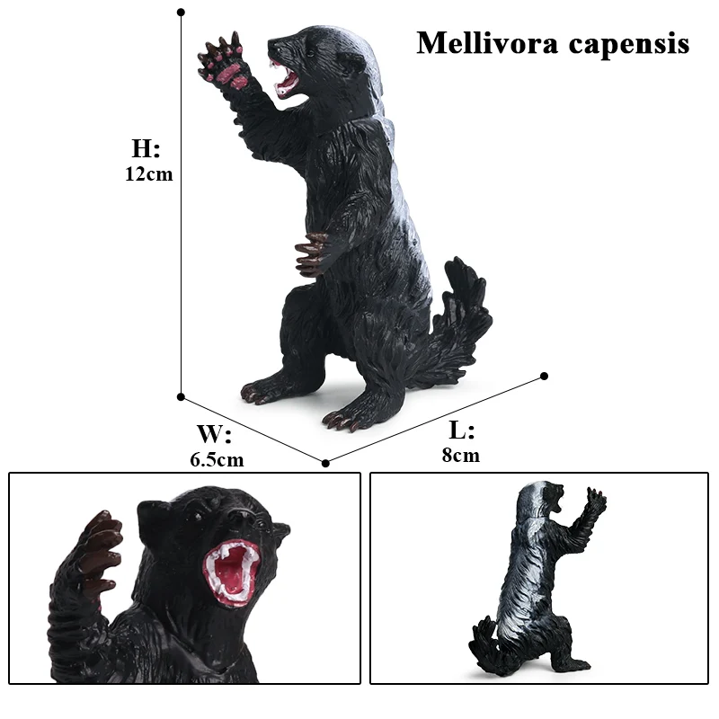 Oenux محاكاة جديد الحيوانات البرية التماثيل العسل الغرير Mellivora Capensis نموذج عمل أرقام الاطفال التعليم هدية لعبة