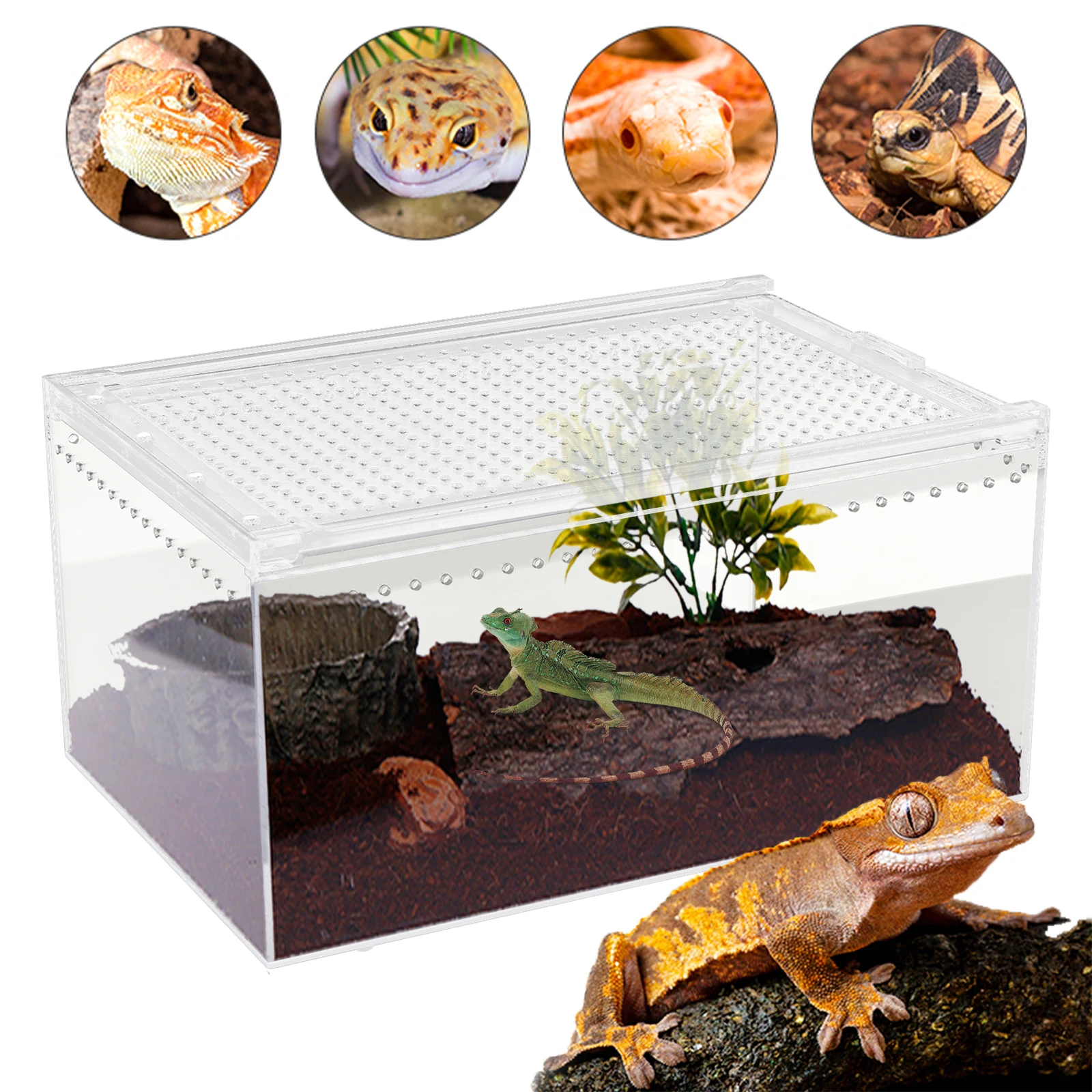 

Magnetic Acrylic Reptile Breeding Box with 360° View & Ventilation, Space-Saving for Snakes/Spiders/Frogs, Easy to Clean & Carry