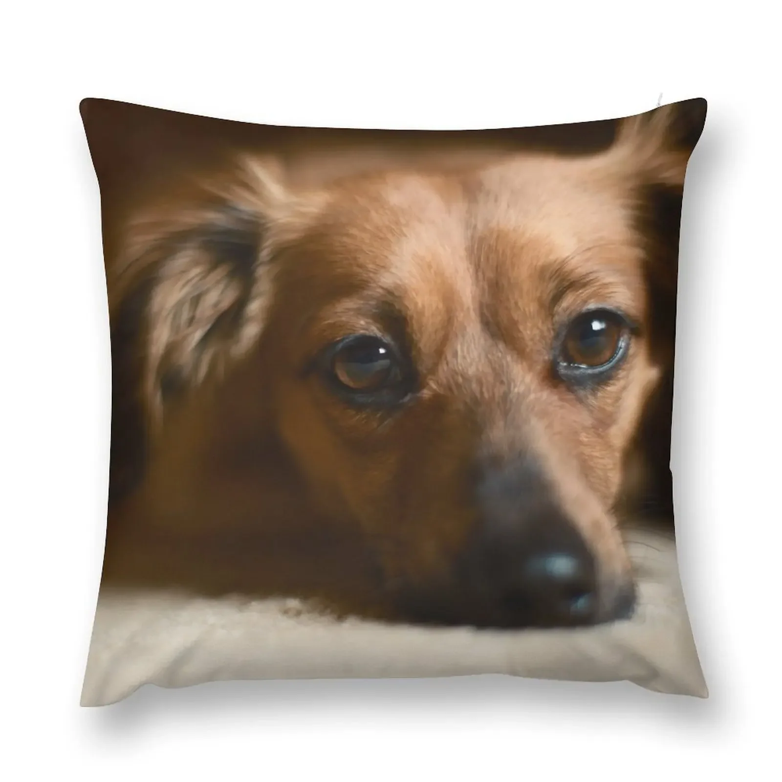 Adorable Chiweenie Throw Pillow Pillow Cover sleeping pillows pillows decor home Pillow Covers Decorative