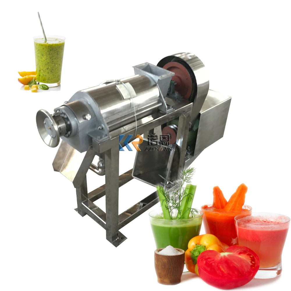 Commercial Juicer Maker Machines Industrial Apple Pineapple Lemon Orange Extractor Machines Juicer Stainless Steel Material