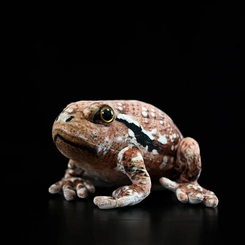 Realistic Toad Stuffed Animal Fluffy Common Toad Frog Plush Doll Soft Animal Toy Kawaii Common Toad Plush Doll