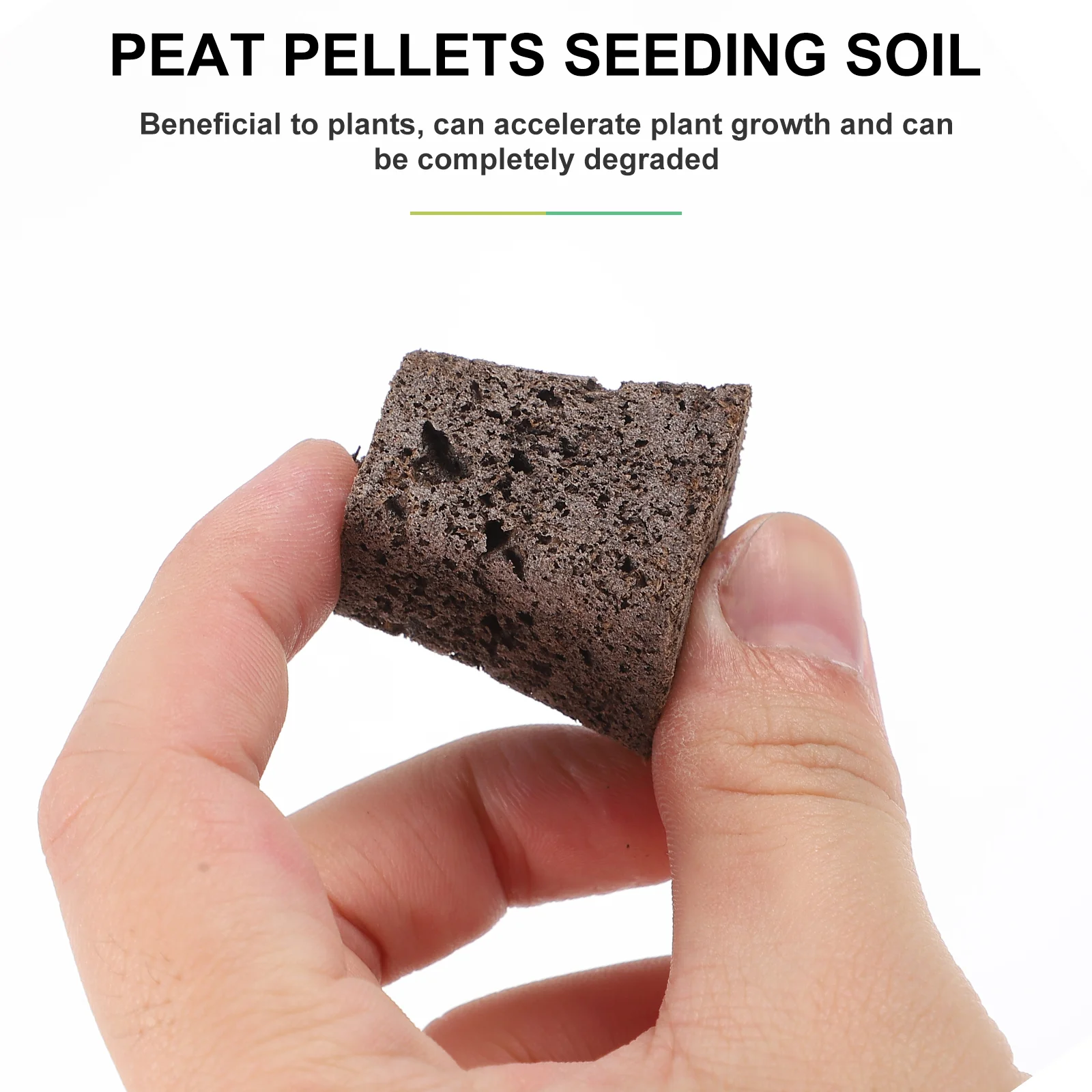 10 Pcs Seedling Block Biochar Soil Plant Nature Peat Plugs Starter Pellets Gardening Supplies Compressed Particles