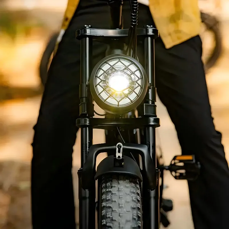 دراجة تسليم SXLL G60 كهربائية 1500 وات قوية 25kmh 20ah دراجة كهربائية عن بعد، دراجة كهربائية مع خنق #5