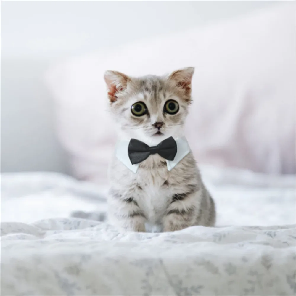 Adjustable Suit Birthday Party Cat Kitten Puppy Cat Tuxedo Collar Necktie Bows Pet Formal Tuxedo Dog Bow Tie