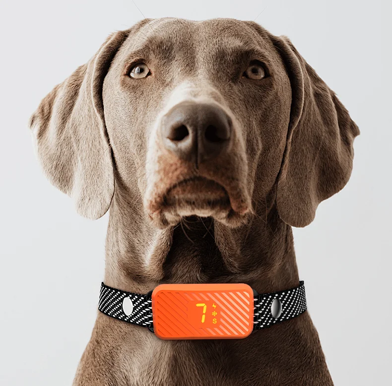 

2025 Newest Factory Price OEM Available Dog Training Collar Waterproof Rechargeable Dog Bark Control Collar Anti Barking Collar