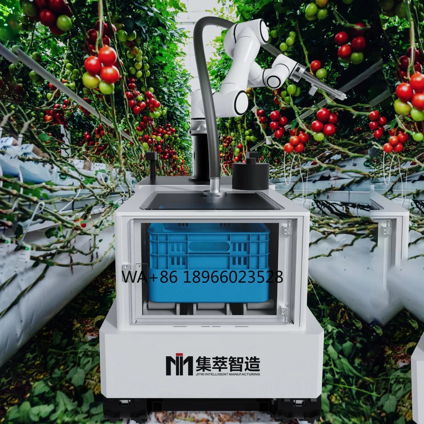 Factory Price Smart Mobile Agriculture Harvesting Collaborative Robot