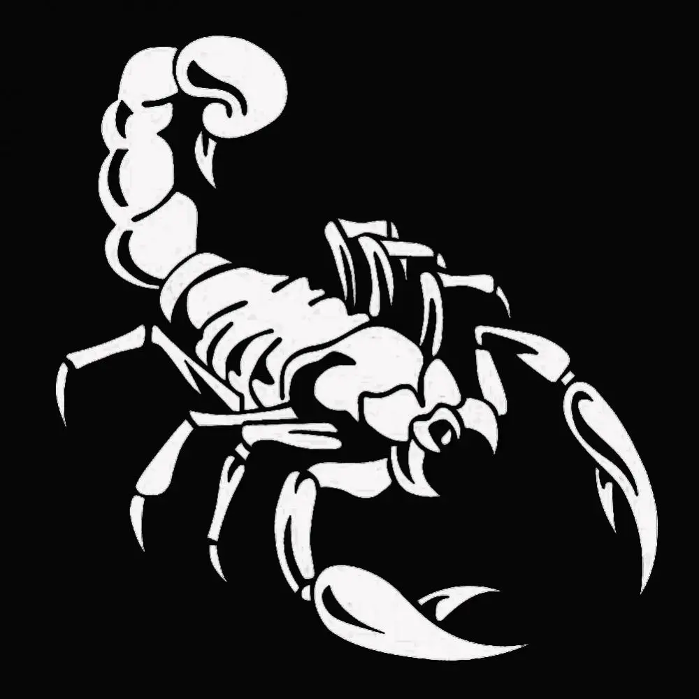 Fashion Scorpion Reflective Car Vehicle Body Hood Window decalcomanie Sticker Decor muslimah Scorpion