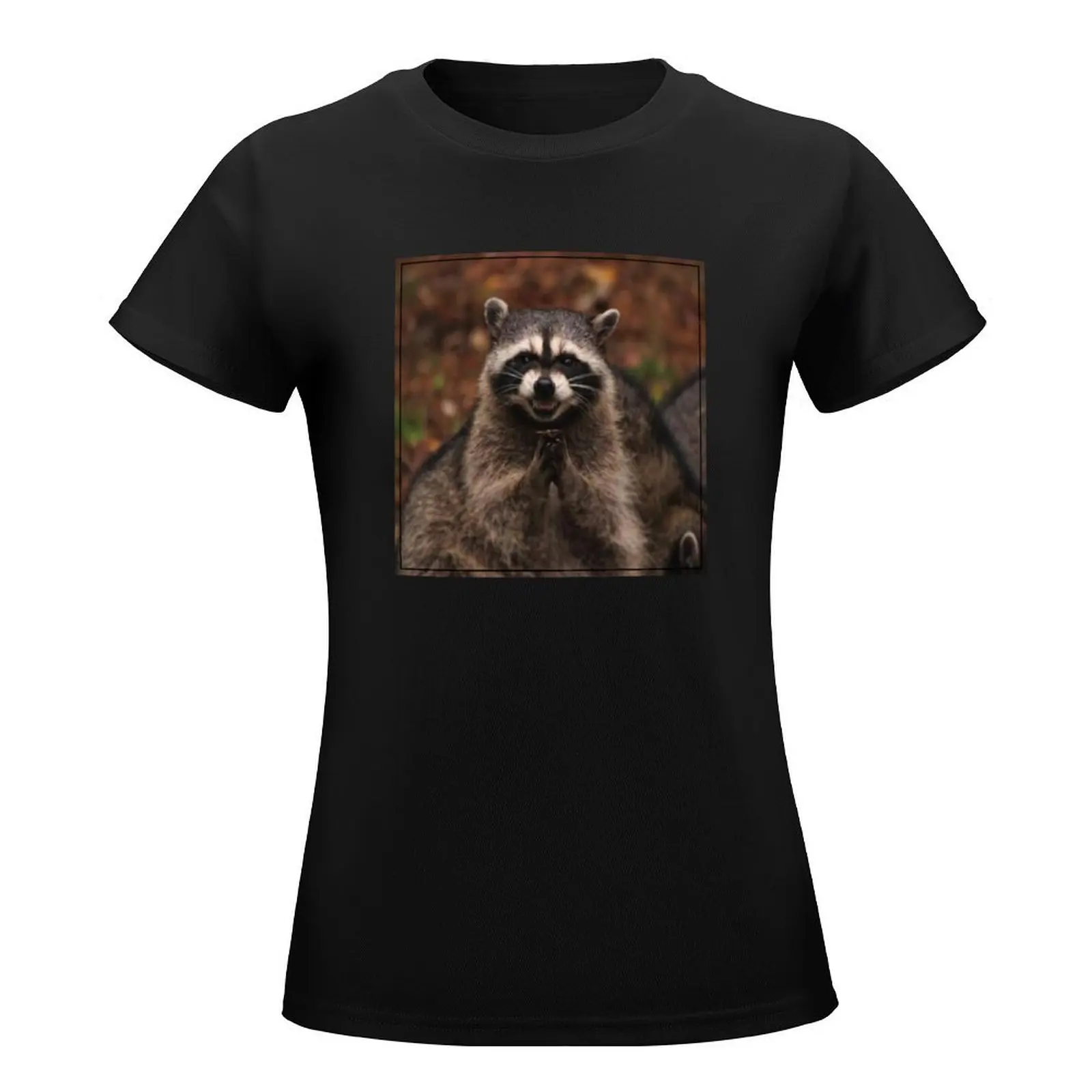 Scheming Racoon T-Shirt female summer tops tops vintage clothes Women's tee shirt