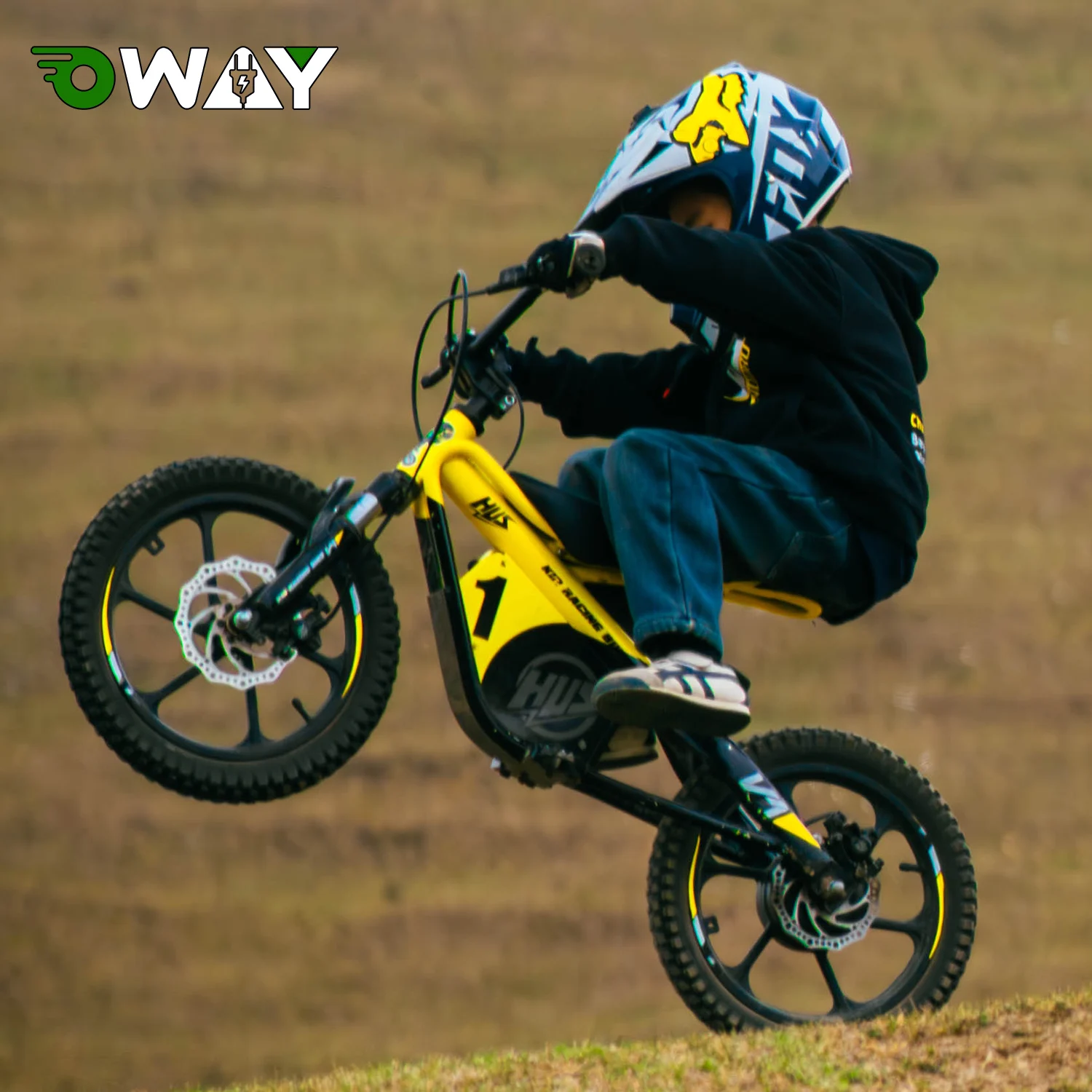 

2025 12 Inch 16 Inch MTB Teenage Kid's Electric Dirt Bike 33KM/H 36V5AH 653W Racing Balancing Bike Electric Bike E-Bike for Kids