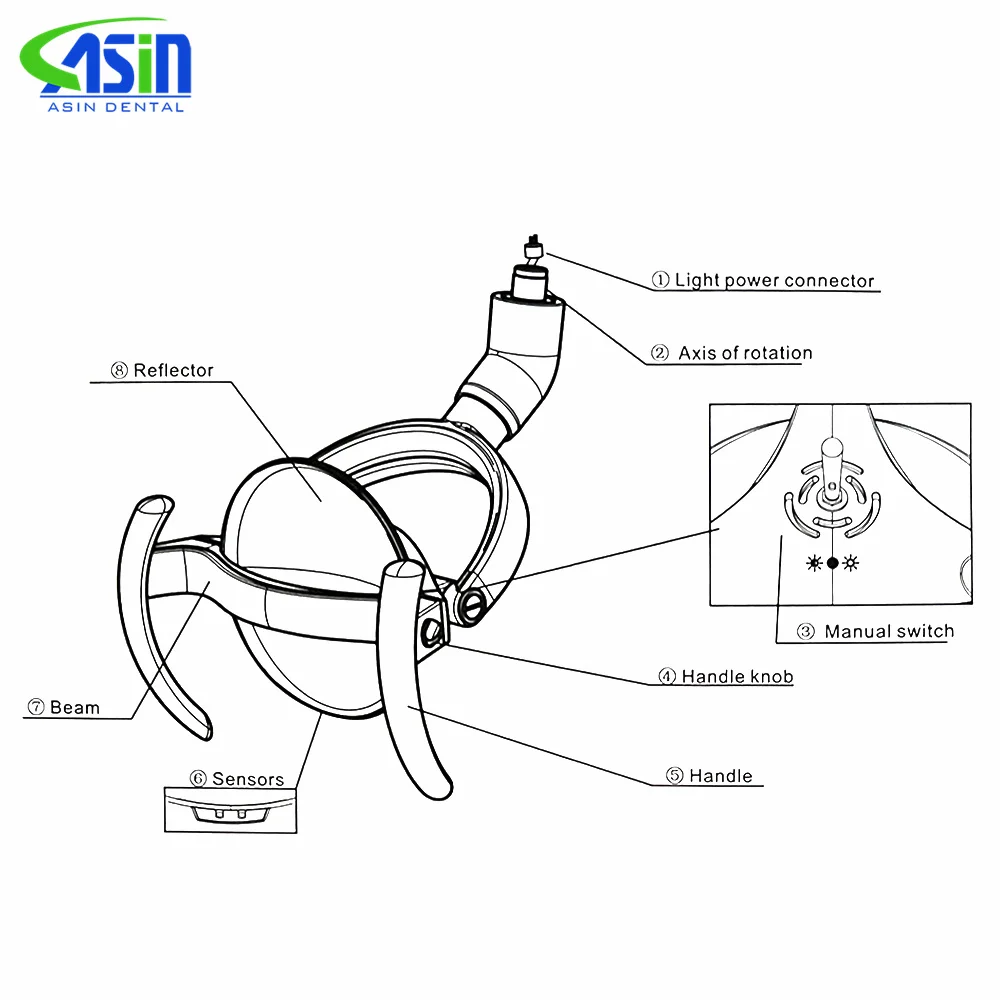 Thumbnail 4 - #3 Trending Oral Lamps Right Now