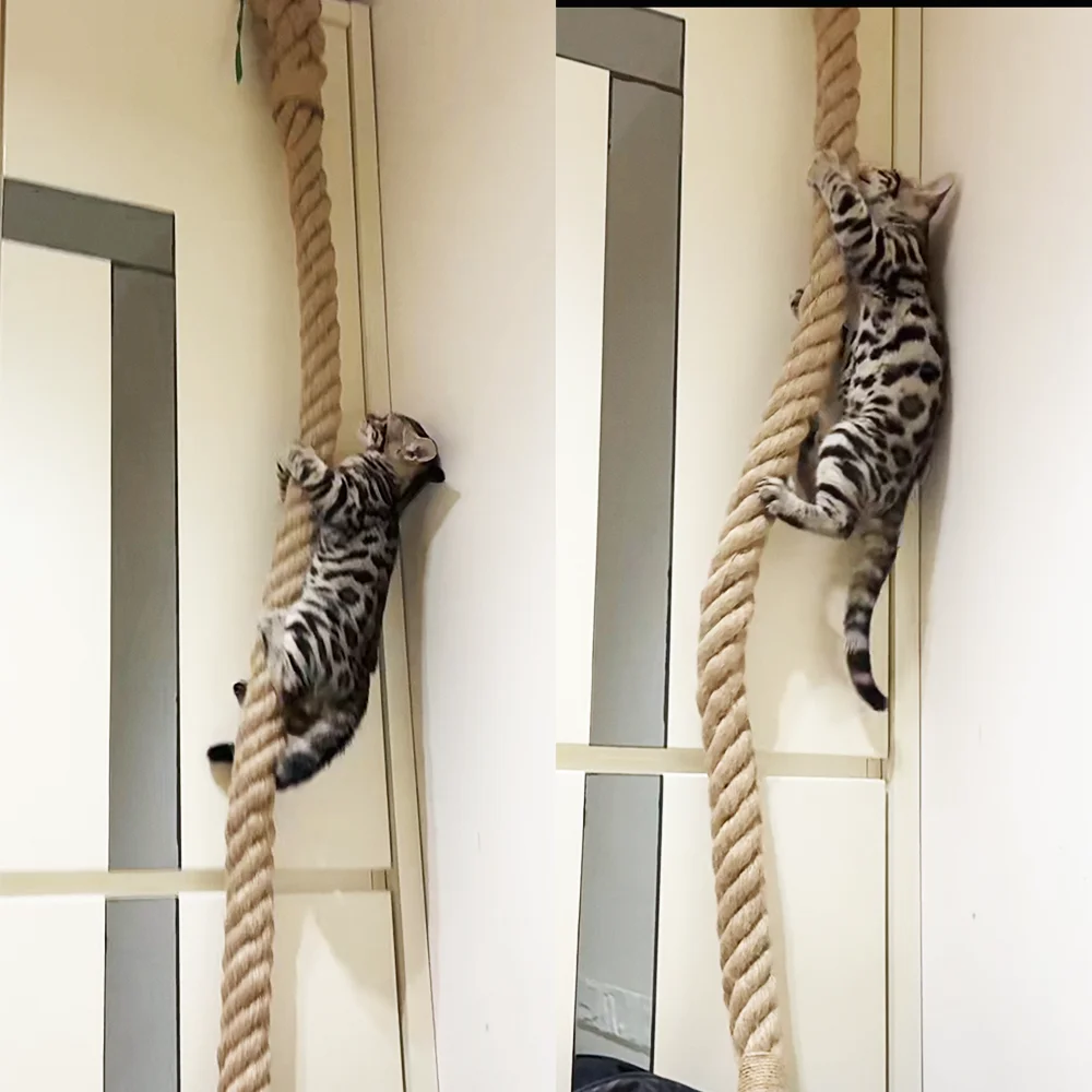 

Cat climbing rope with hook ceiling wall mounted kitten scratching post climbing rope toy, suitable for indoor and outdoor cats