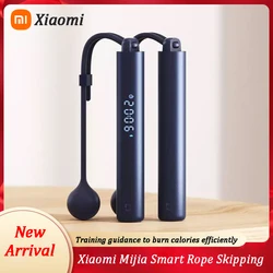 Xiaomi Mijia Smart Training Rope Jumping APP Data Record Type-C ricarica regolabile resistente all'usura corda professionale Jumping