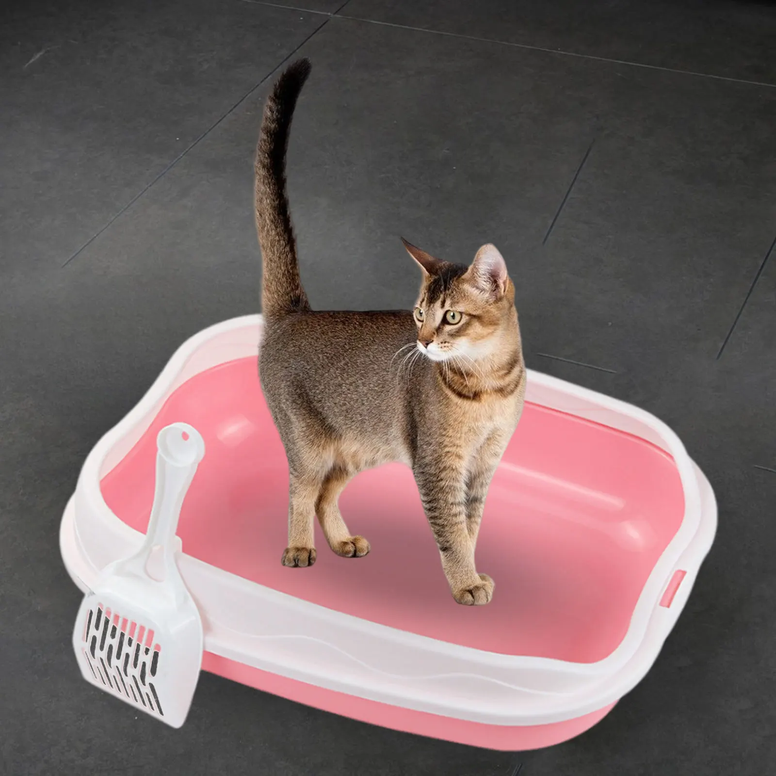 Cat Litter Box Tray Pet Potty Toilet Sandbox Semi Open with Shovel Anti-Splash Easy Clean for Kitty Cat Supplies 39x31x10cm