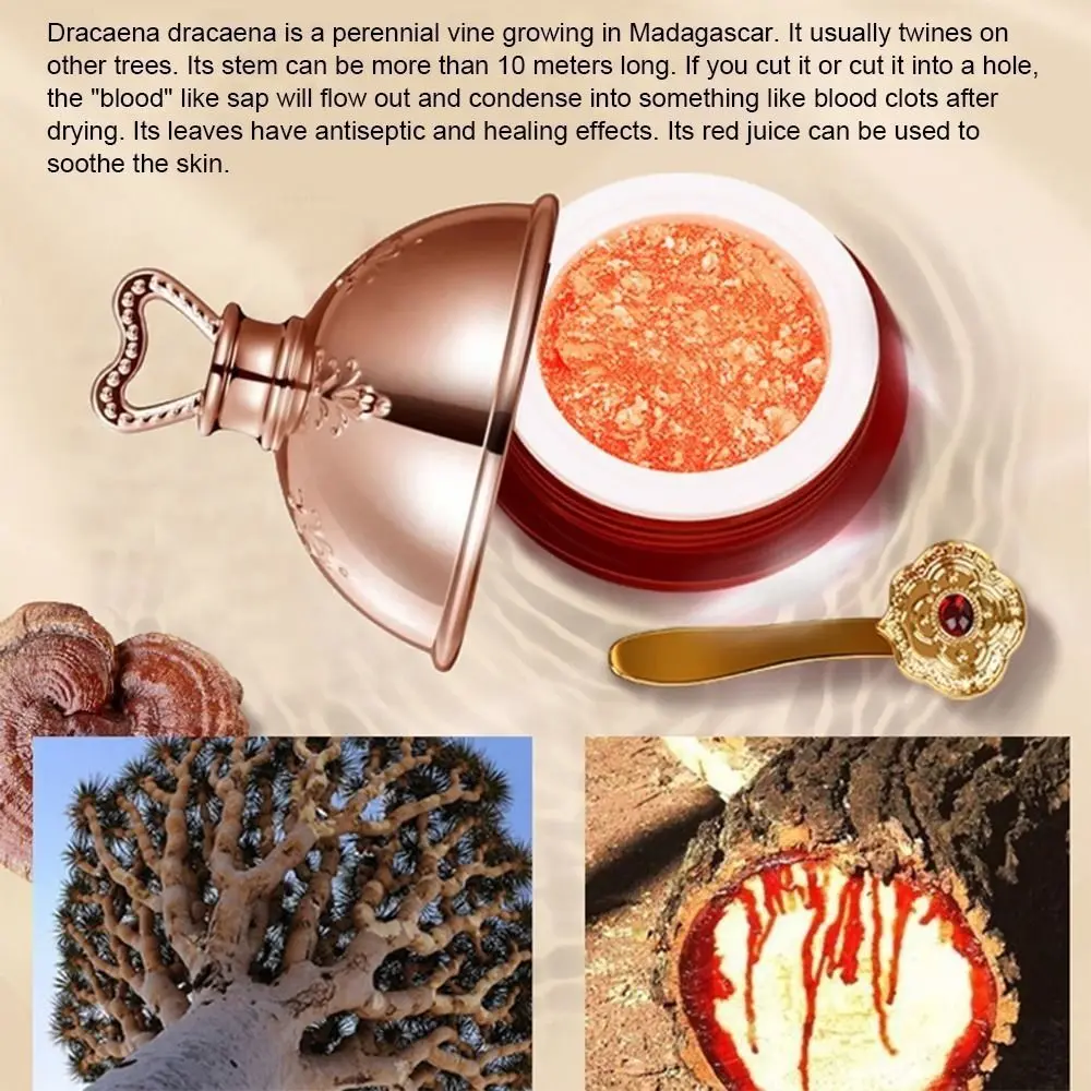 Wrinkle Removal Dragon Blood Cream Anti-aging Firming Placenta Essence Cream Rejuvenation Moisturizing Plain Face Cream