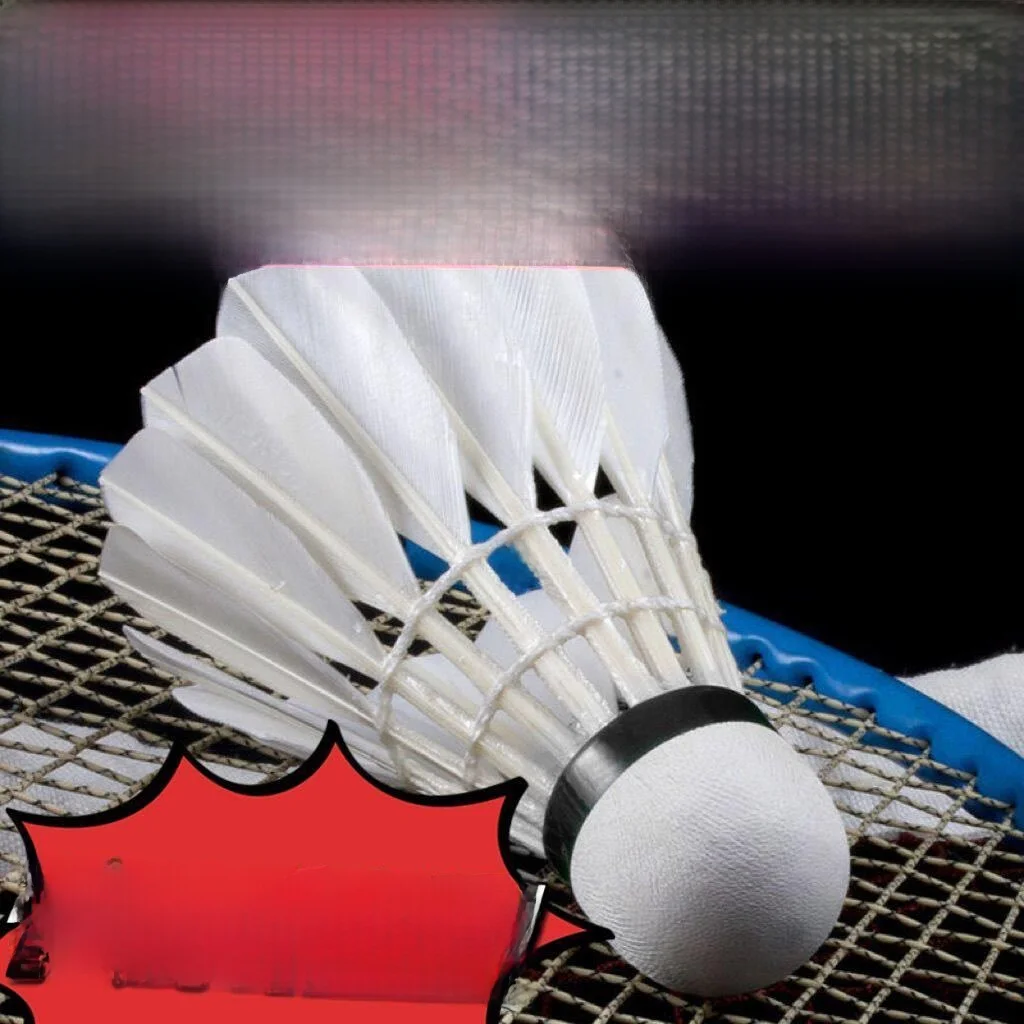 

Outdoor Windproof Goose Feather Badminton Professional Grade Durable for Competition Training Entertainment And Learning