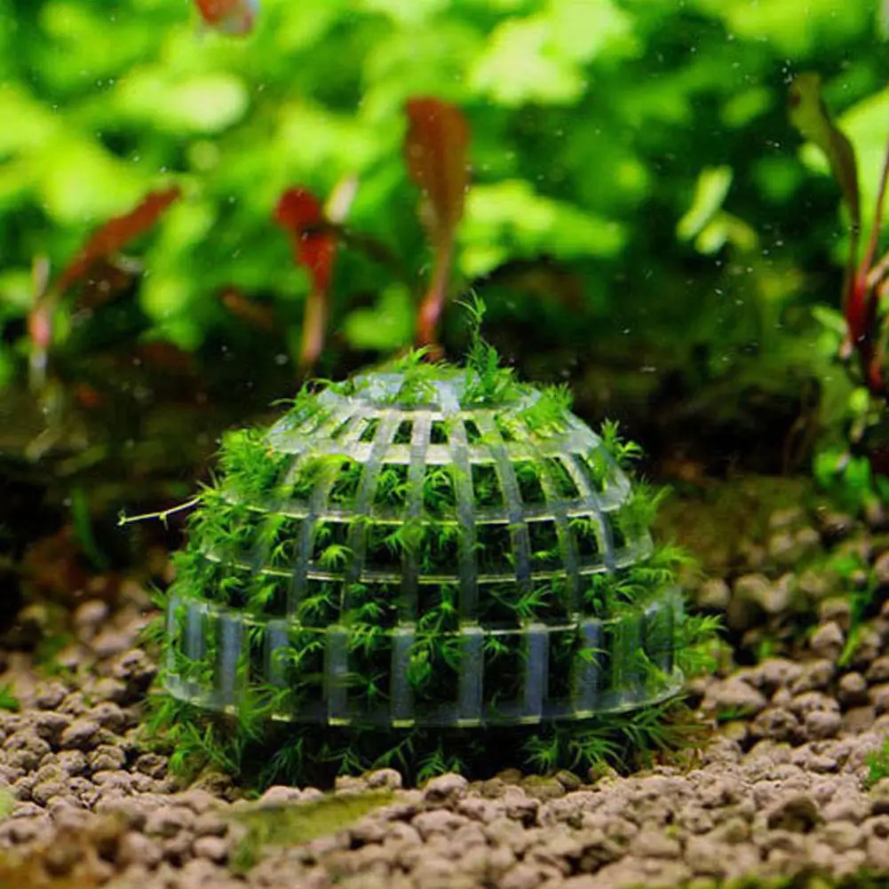 Aquarium Dekoration Pflanzen Bio Moos Ball Halter für Aquarium Kristall Rot Garnelen Haus Aquarium Dekor Filter Zubehör – Detail 10