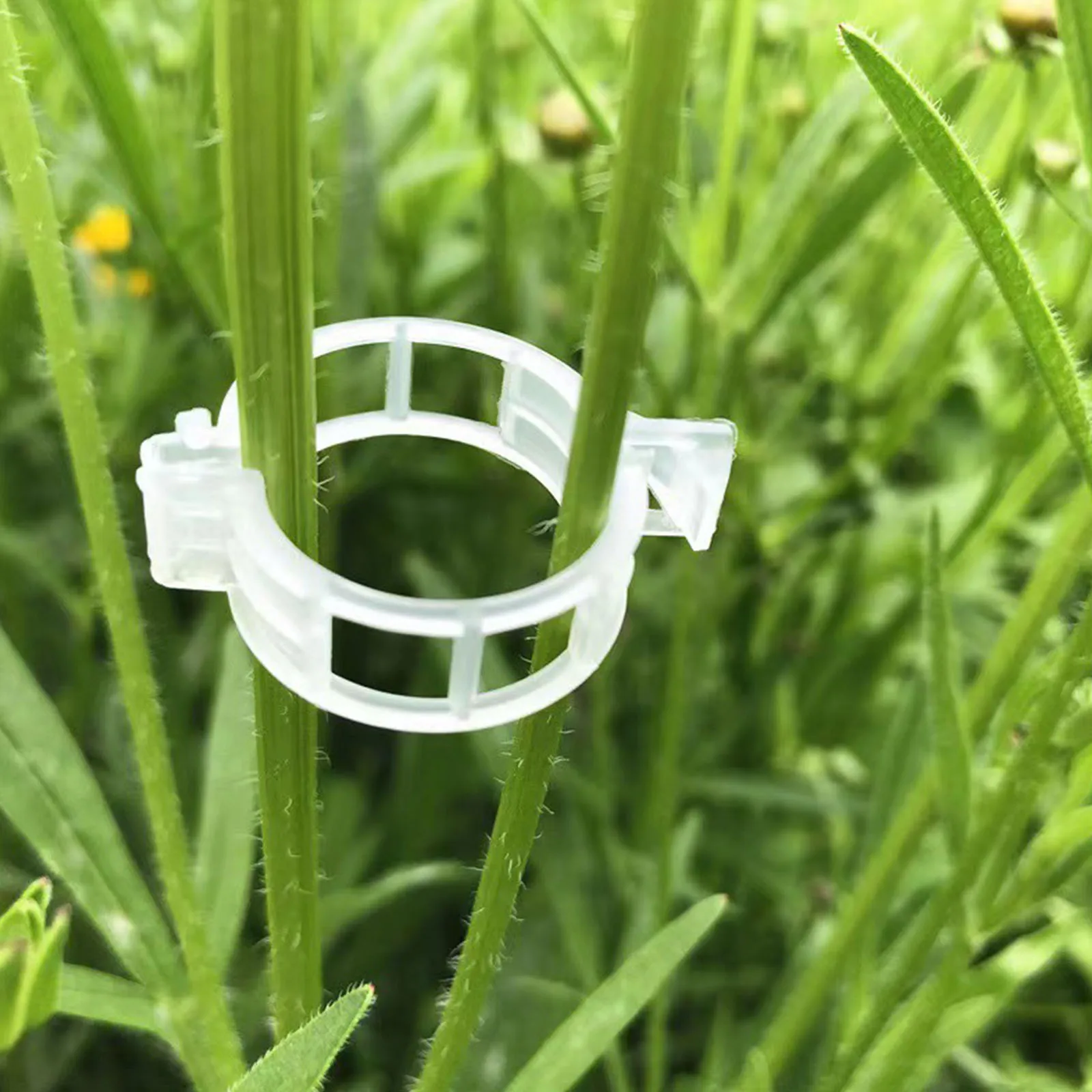 Sichere Kunststoff-Tomatenclips zur Befestigung von Gartenclips, wiederverwendbar, einfach zu verwenden für Kletterpflanzen, Weinreben, Gemüse und Stängel