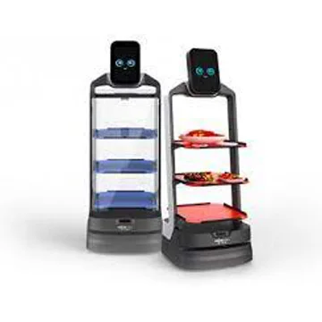 Robot Stable Moving High Stability Service Robot Intelligent 2024 New Intelligent Commercial Reception Welcome Service Human