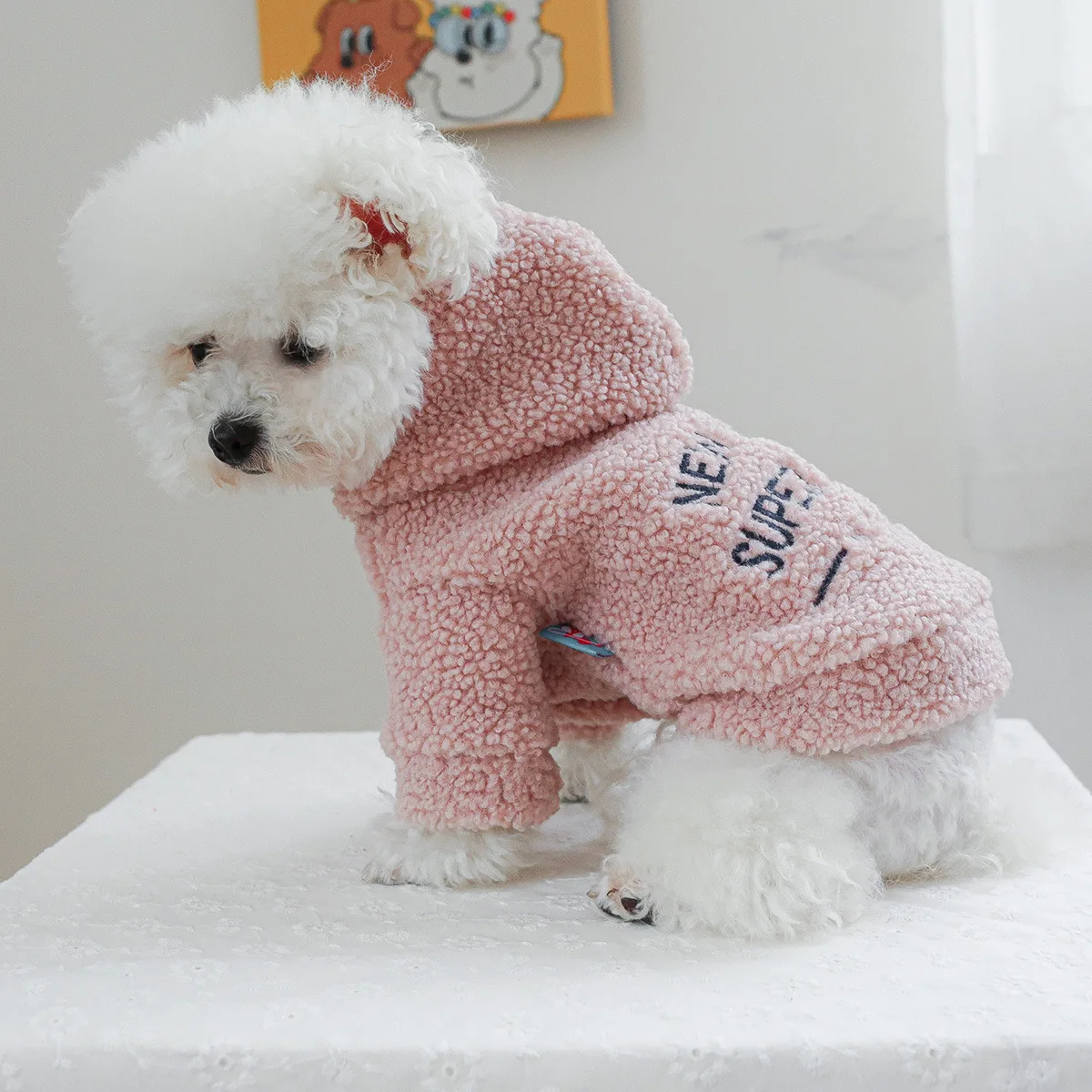 New pet clothes, dog and cat clothing accessories, with thick velvet New York starlight jacket