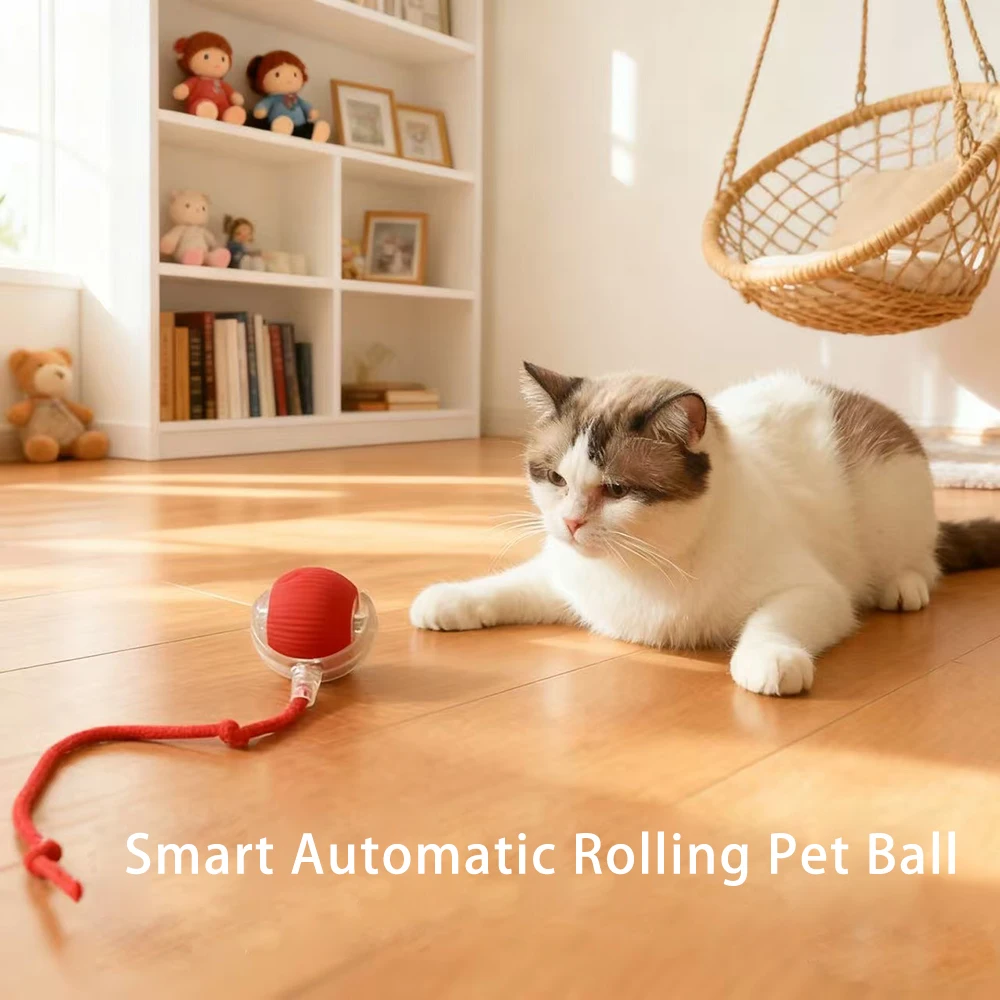 

Умные игрушки для кошек, автоматический катящийся шар, искусственный хвост, перезаряжаемая электрическая интерактивная игрушка для домашних животных, детский реквизит для фотографий, четыре сезона