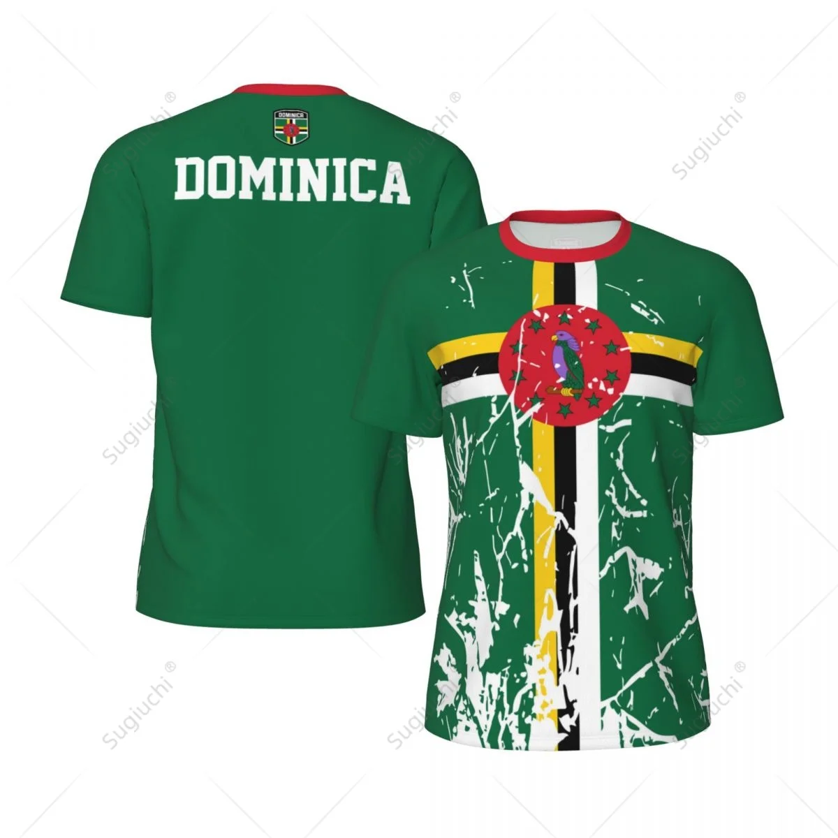 Exclusive design Dominica Flag Grain 3D Printed Men For Running Bike Soccer Tennis Fitness Sports tshirt Mesh Fans Short T-shirt