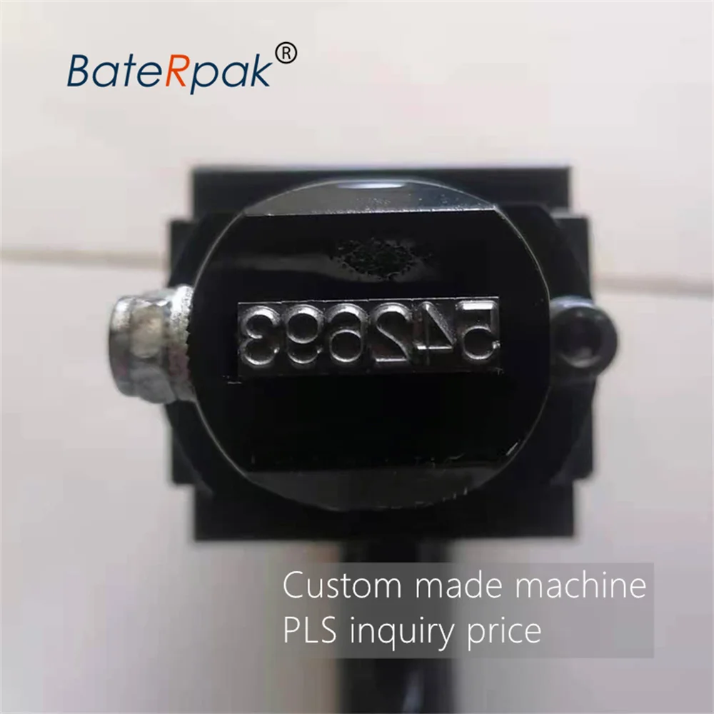 BateRpak ZS Macchina per marcatura ad impatto pneumatico Portale su misura, marcatore codificatore per piastre metalliche