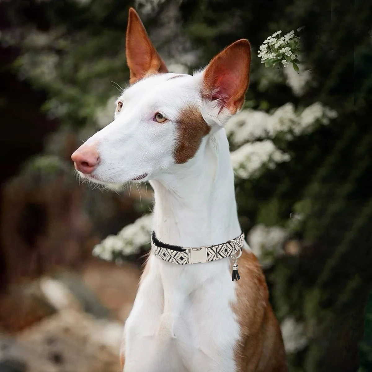 Haustierhalsbänder im böhmischen Ethno-Stil für kleine, mittelgroße und große Hunde. Mehrfarbig. Wählen Sie verstellbare, luxuriöse Trend-Neuheiten – Detail 15