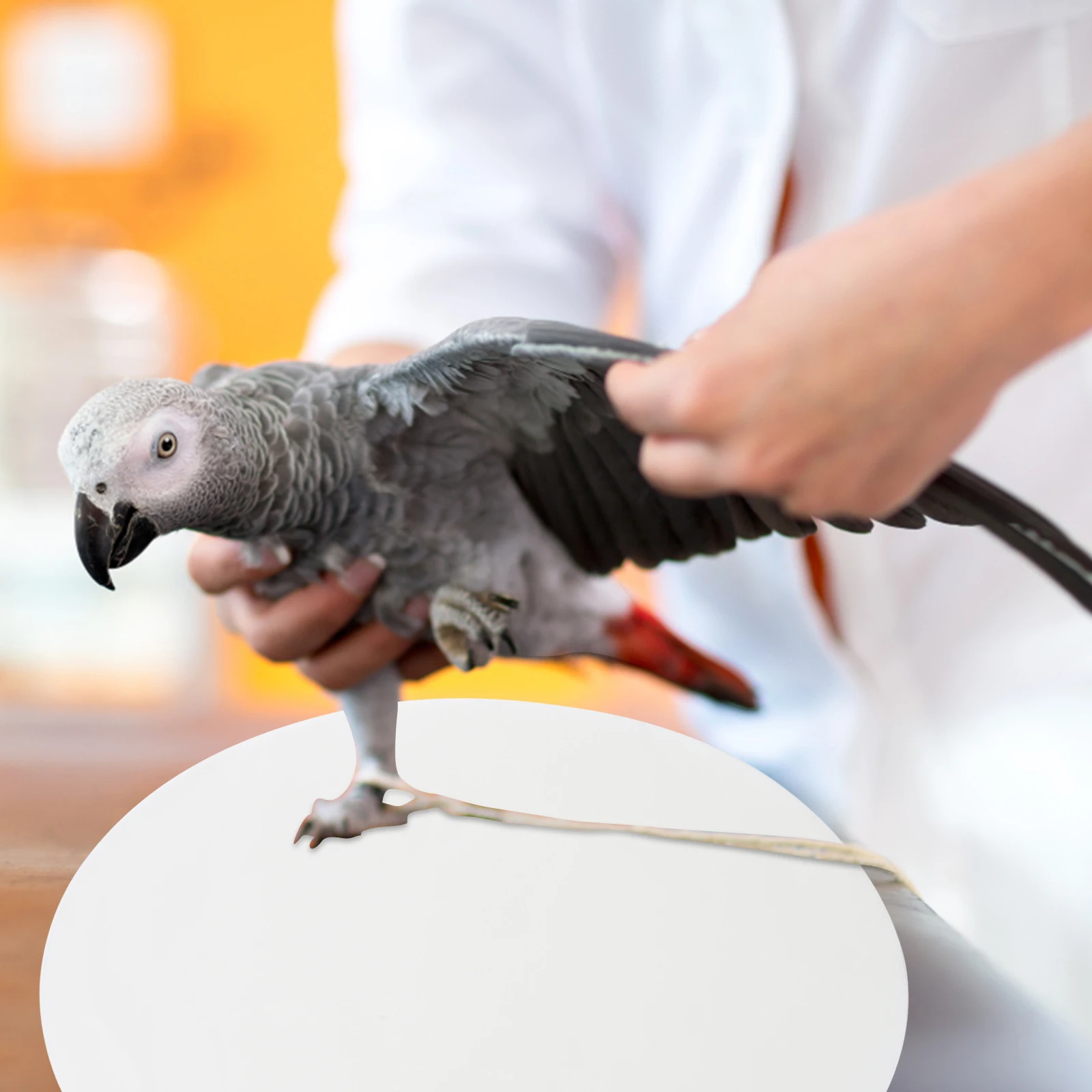

100pcs Absorbent Bird Cage Paper Mats 36cm Diameter Disposable Parrot Cage Liners Bottom Pad Pet Supply Odor Reducer