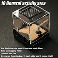 10 Activity area