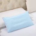 Color 21-pillowcase