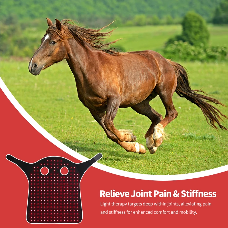 Flexible Horse Red Light Therapy Pad Inflammation & Joint Pain Relief for Wound Healing