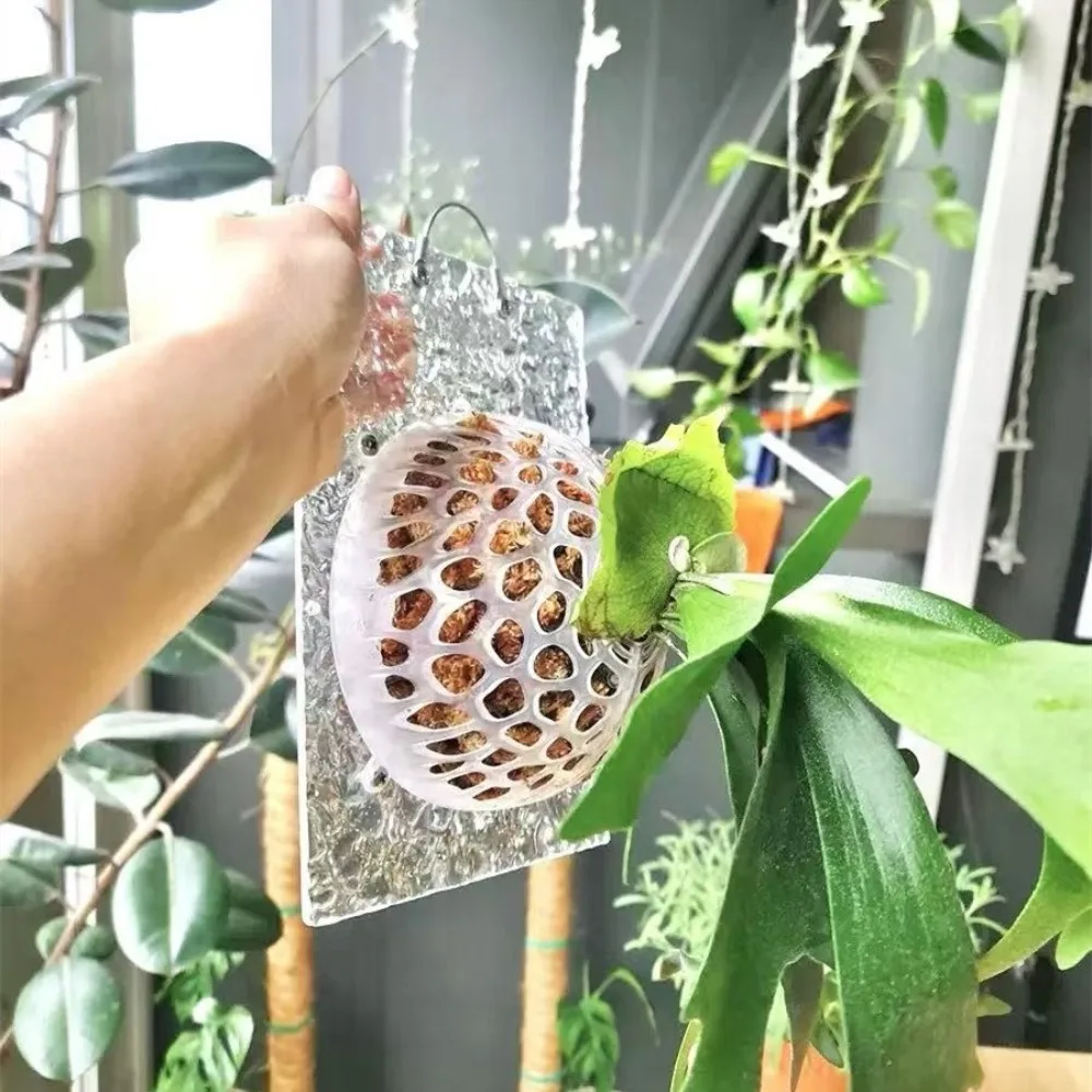 Hollowed Plants Soil Protector Cover Replaceable Transparent Planting Cover Plastic Aquatic Plant Suspension Ball Horticultural