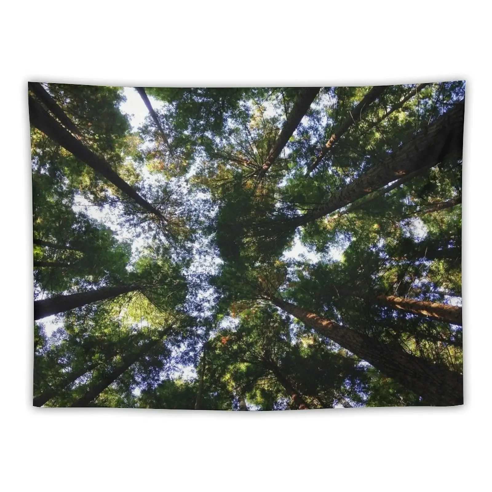 

MINDS IN NATURE|MODERN PRINTING| 1 Pc #27734205 Tapestry Decoration Home Living Room Decoration Tapestry