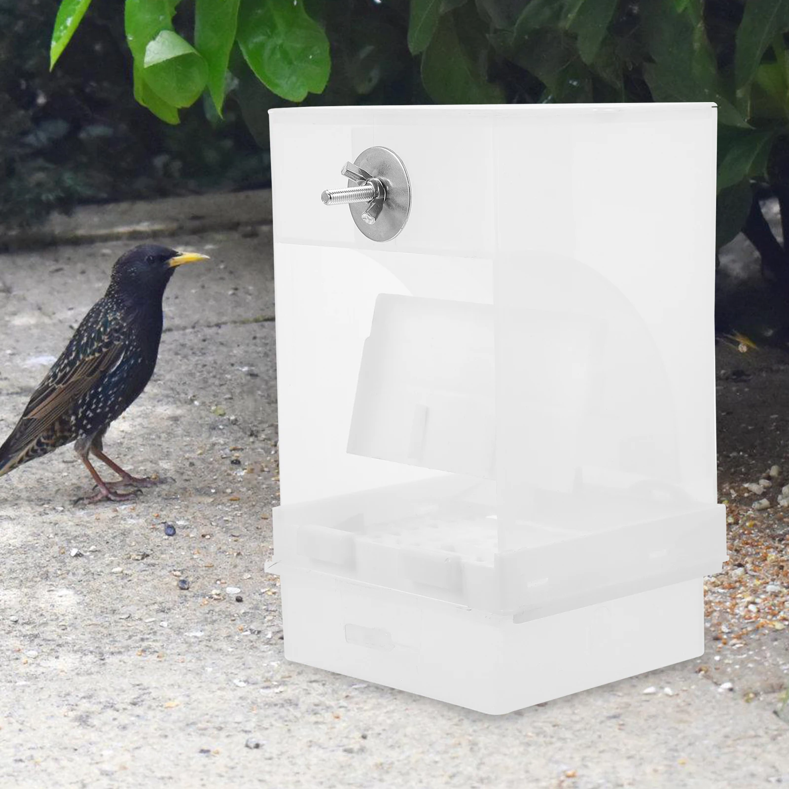

Automatic Bird Feeder Acrylic Material Large Capacity Pet Supplies Parrot Feeder Bird Food Box Time Saving Practical Function