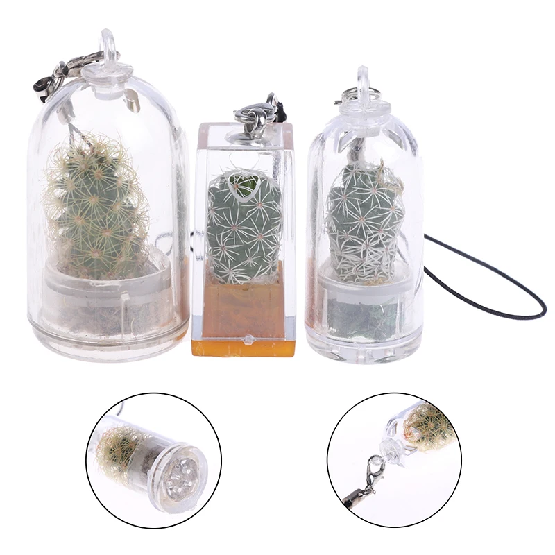 Succulent Plant Pendant Mini Succulent Cactus Plant Keychain Random Plant Pendant Keyring Charm With Glass Cover Craft Gifts