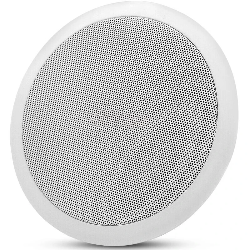 

S1-5 ceiling broadcast ceiling wall-mounted speaker coaxial hanging ball waterproof outdoor wireless sound column