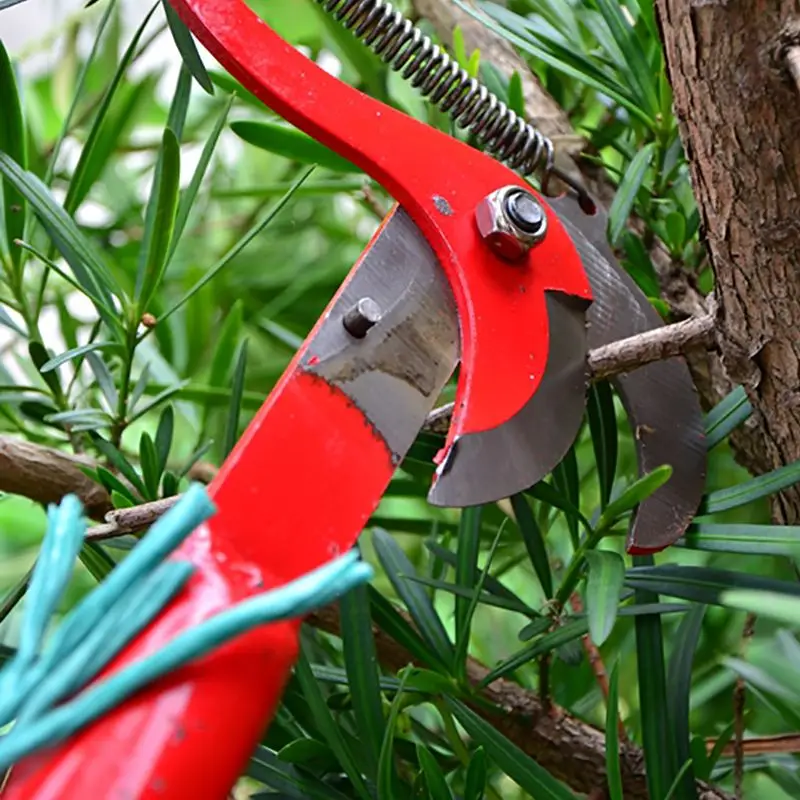 High Tree Branch Cutter Extendable Pole Pruner With Rope Saw Telescopic Gardening Tool for Trimming Fruit Trees Palm Trees