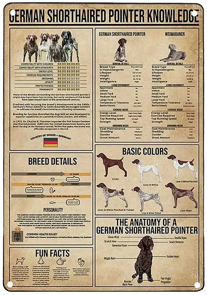 1p,German Shorthaired Pointer Knowledge Retro Metal Tin Sign The Anatomy Of A German Shorthaired Pointer Printing Poster Schoo