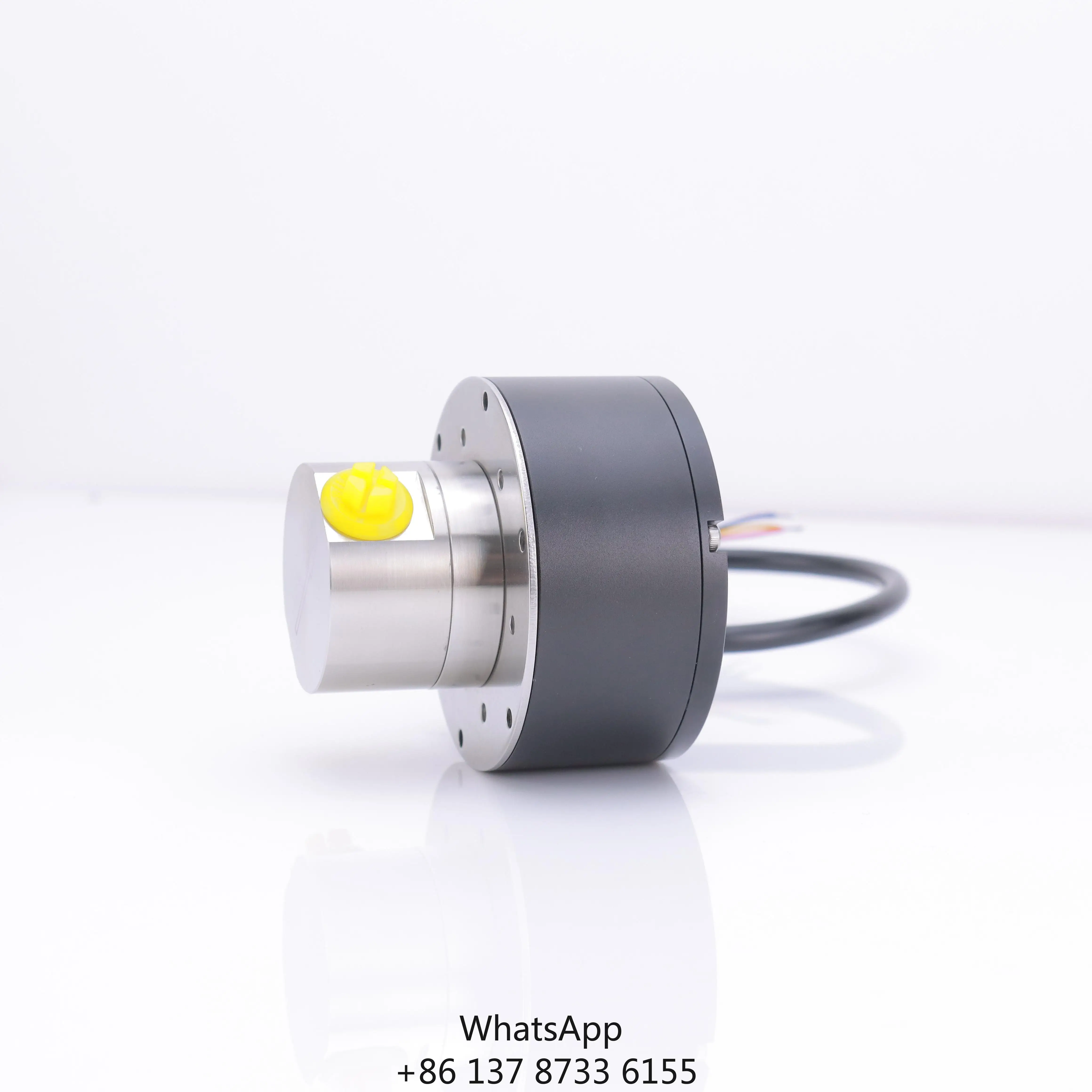 Replacement Parts Car Washing Machine High Pressure Module Magnetic Drive Micro Gear Pump