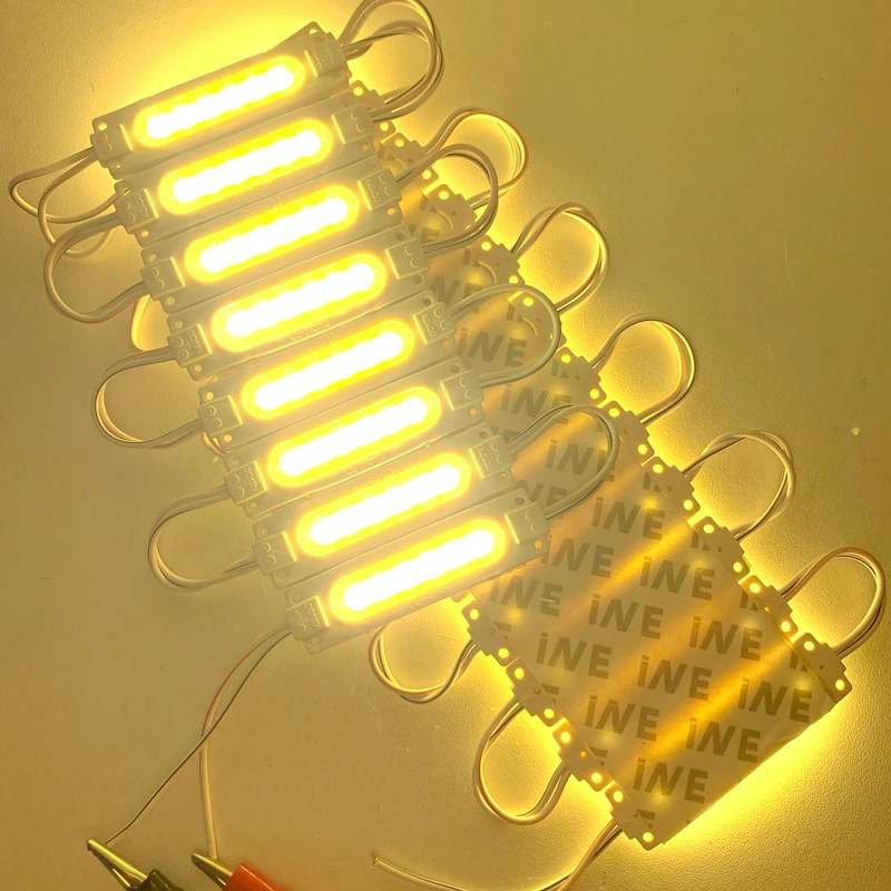 10PCS 6LED Light Modules DC12V 2.4W COB Led Module Advertising  Backlight IP65 Waterproof White Red Blue Green Yellow Pink