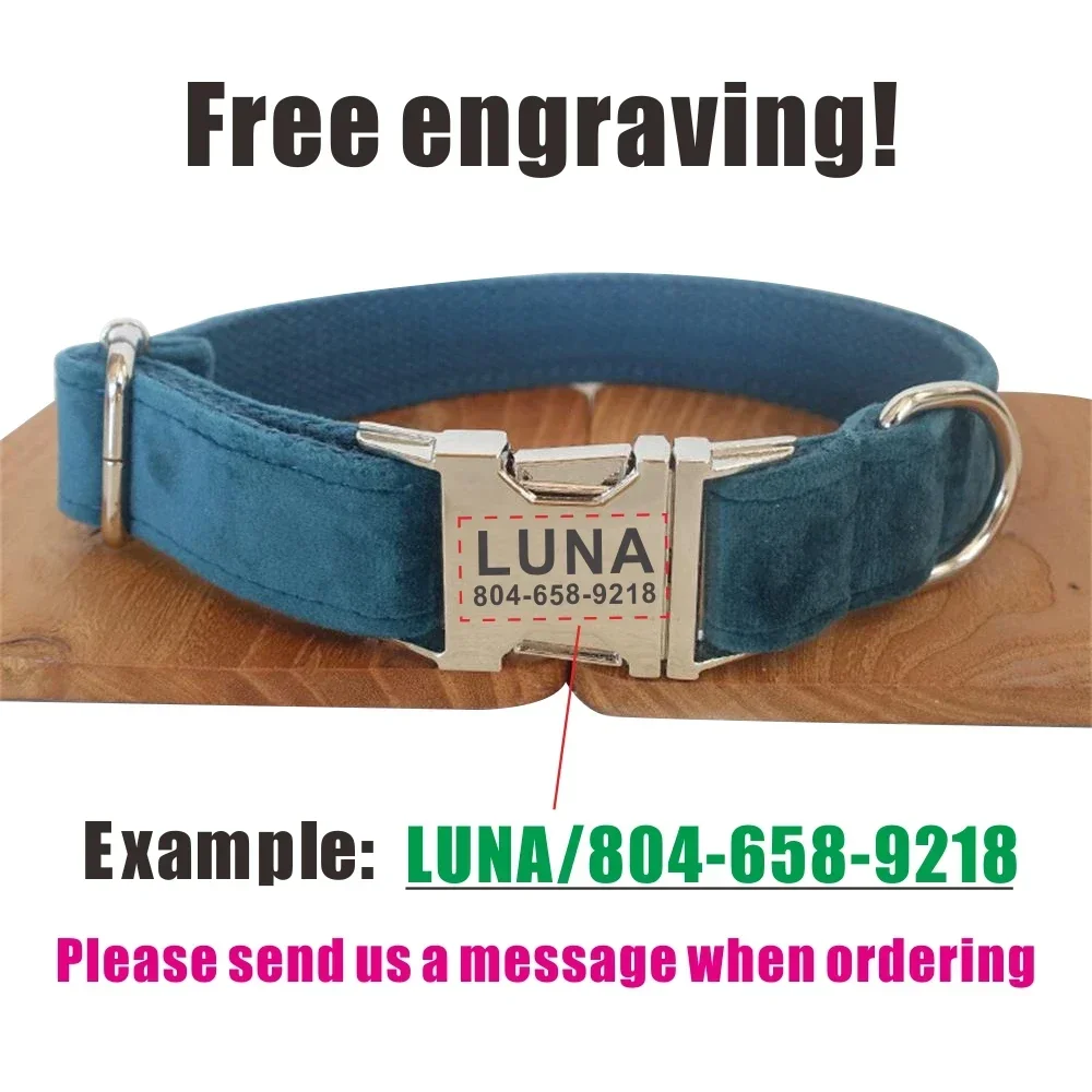 طوق كلب مخصص مع نقش مجاني، مطابقة مقود الحيوانات الأليفة، اتصالات مخصصة مشبك معدني، طوق الحيوانات الأليفة المخملي الأخضر الزمردي