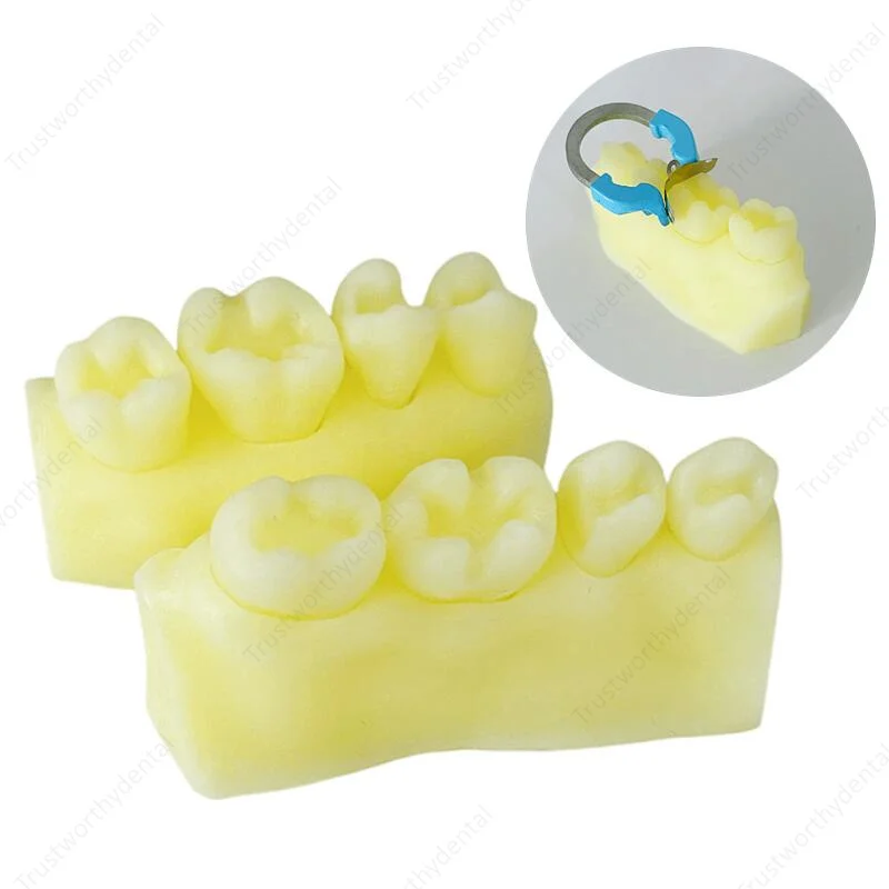 8Pcs Dental Caries Model Composite Resin Filling Restorative Aesthetic Restoration Simulate Class II Decay Teeth Stack