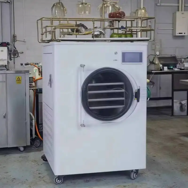 

Lyophilizer Drying Equipment Dryer Vacuum Dried Food Freeze