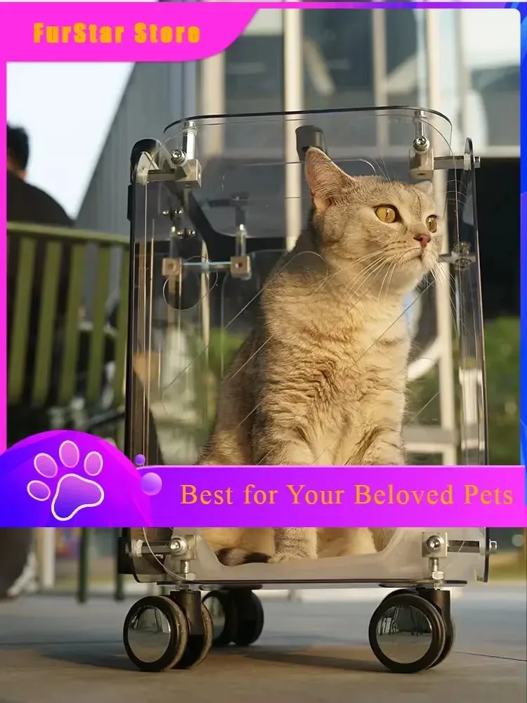 FurstarPet Trolley Box Out Portable Transparent Hand Luggage Travel Trolley Airline Case Large Capacity Carriers For Dog Accesso