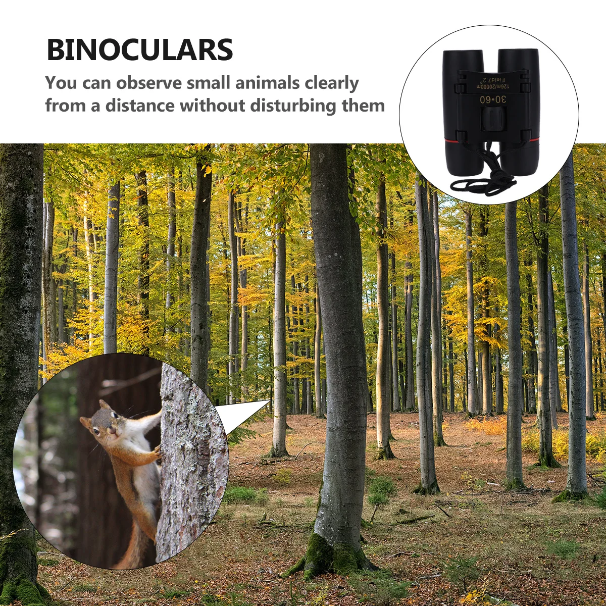 

30X60 Folding Mini Pocket Telescope Compact For Outdoor Birding Hiking Camping Travel Small